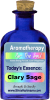 Let the Universe choose an essential oil for you today!