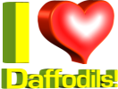 I Love Daffodils!